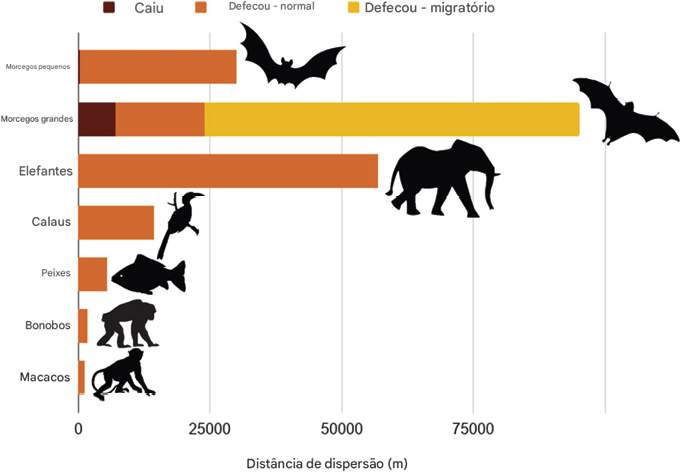 A distância da dispersão