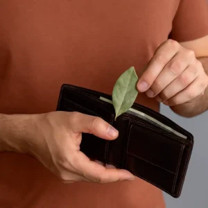Coloque 1 folha de louro na carteira e melhore suas finanças Coloque 1 folha de louro na carteira e melhore suas finanças