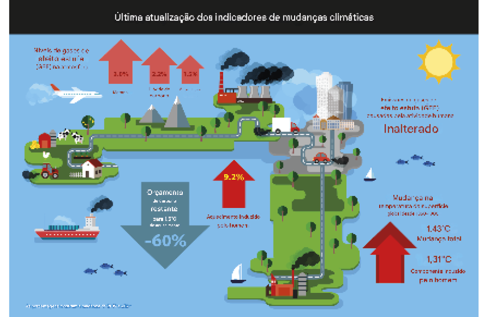 Indicadores de MCG 2024