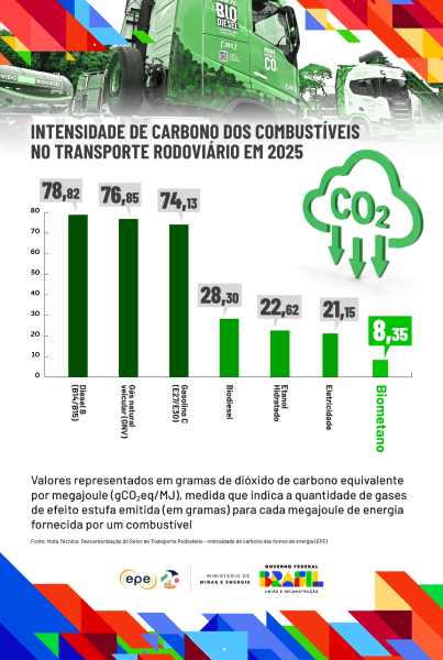 MME INFOGRAFICO SITE LUZPARATODOS TerrasIndigenascpia2