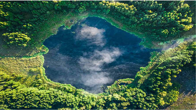 Monitoramento usando pesquisas, eDNA, IA e sensoriamento remoto para avaliar a saúde do ecossistema