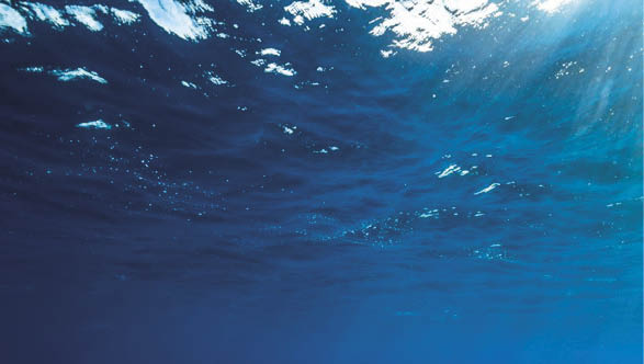 Rastreando a jornada do carbono negro até o oceano 3 O sequestro de grandes quantidades de carbono orgânico dissolvido nos oceanos pode ter ajudado a recuperar o planeta de episódios de aquecimento anteriores. Será que os oceanos de hoje poderiam realizar outro resgate climático semelhante?