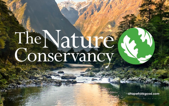 Screenshot-2025-07-01-130039 Investimentos em soluções baseadas na natureza dobram e alcançam US$ 49 bilhões: a natureza como aliada da segurança hídrica global