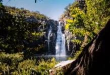 Investimentos em soluções baseadas na natureza dobram e alcançam US$ 49 bilhões: a natureza como aliada da segurança hídrica global natureza