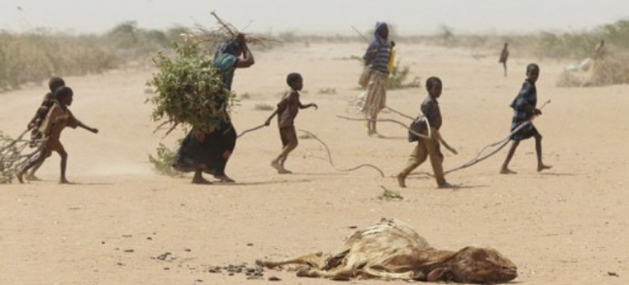 Screenshot 2025 07 01 175416