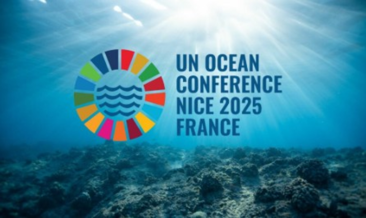 Screenshot 2025 07 01 183042