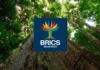 Brasil espera mobilização do Brics para resultados ambiciosos na COP30 BRICS