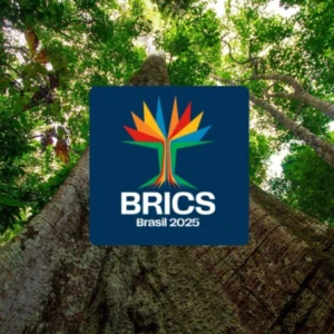 Brasil espera mobilização do Brics para resultados ambiciosos na COP30 BRICS