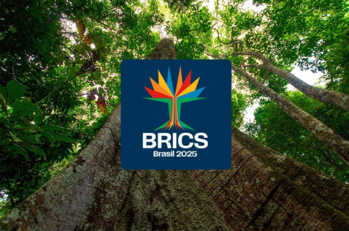 Brasil espera mobilização do Brics para resultados ambiciosos na COP30 5 BRICS