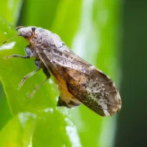 Screenshot 2025 07 03 173143