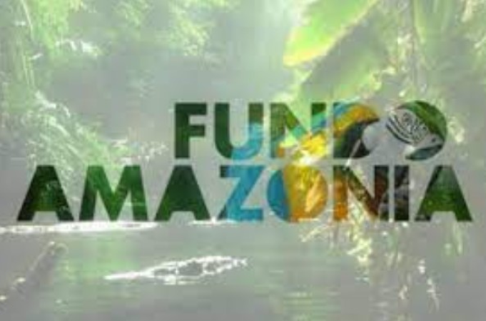 Screenshot-2025-07-04-104227 A importância da cooperação entre instituições na proteção ambiental brasileira