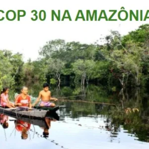 COP 30 no Brasil será a vitrine das populações tradicionais e da bioeconomia como modelo para o futuro