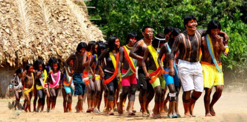 Screenshot-2025-07-04-132439 COP 30 no Brasil será a vitrine das populações tradicionais e da bioeconomia como modelo para o futuro