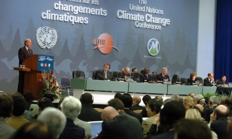 Screenshot-2025-07-04-133839 COP 30 no Brasil será a vitrine das populações tradicionais e da bioeconomia como modelo para o futuro