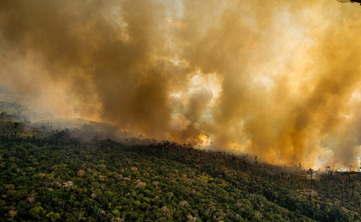 Screenshot-2025-07-04-182631 Organizações sociais propõem plano para investimentos na Amazônia