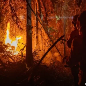 Número de áreas queimadas no país cai 65,8% no primeiro semestre queimadas