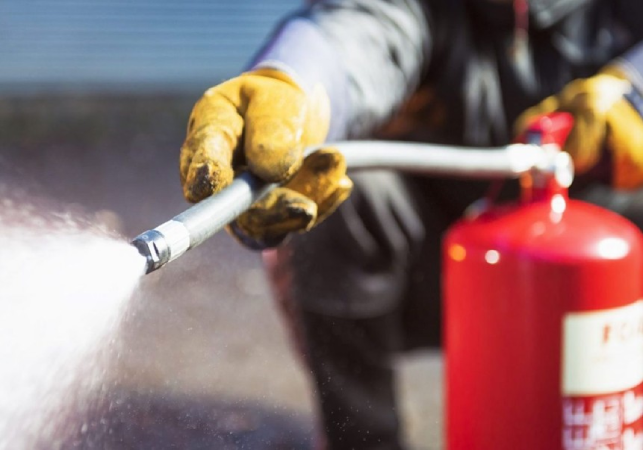 Screenshot-2025-07-07-111822 Número de áreas queimadas no país cai 65,8% no primeiro semestre