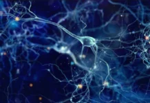 Descoberta sobre o uso do açúcar pelos neurônios pode abrir caminho para tratamentos contra demência açúcar