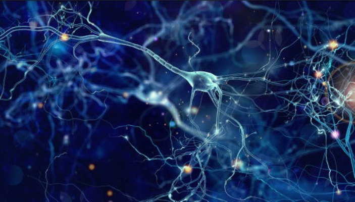 Descoberta sobre o uso do açúcar pelos neurônios pode abrir caminho para tratamentos contra demência 3 açúcar