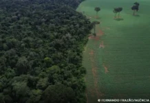 Brics: financiamento climático é responsabilidade de países ricos financiamento