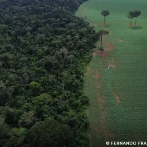 Brics: financiamento climático é responsabilidade de países ricos financiamento
