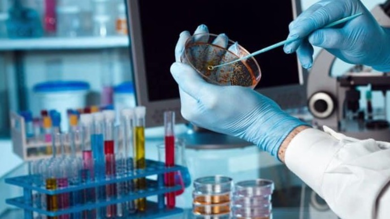 Screenshot-2025-07-08-182438 Rede global de materiais biológicos sediará seu primeiro polo no Brasil