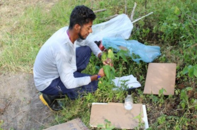 Screenshot 2025 07 14 210608