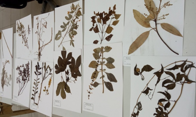 Screenshot 2025 07 14 212832