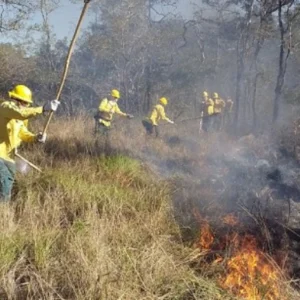 BNDES aprova R$150 milhões para prevenção e combate a incêndios BNDES