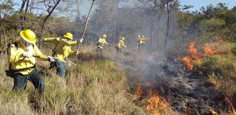 BNDES aprova R$150 milhões para prevenção e combate a incêndios 5 BNDES