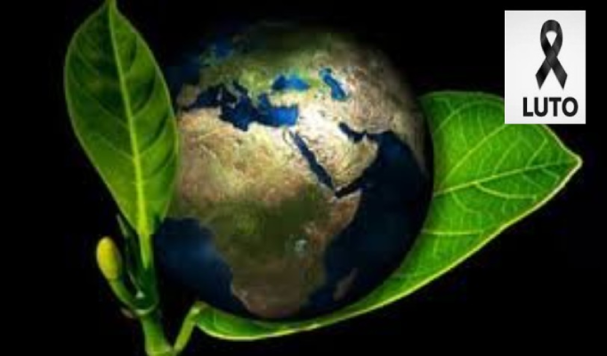 Congresso aprova retrocesso orquestrado no licenciamento ambiental, futuro do país é ameaçado 3 Congresso