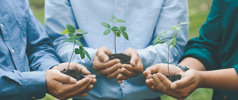 Screenshot-2025-07-17-123352 90% dos especialistas concordam: A agenda de sustentabilidade está insustentável
