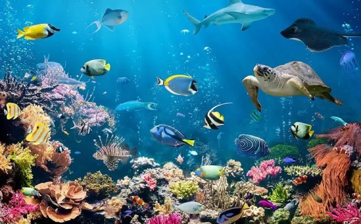 Screenshot-2025-07-22-192042 Políticas da maré, governança fragmentada da Amazônia Azul