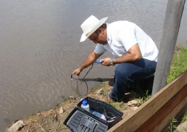 Screenshot-2025-07-24-182340 Essência de plantas na Amazônia contribui na sanidade dos tambaquis