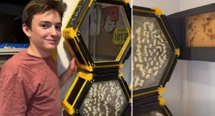 Adolescente constrói colmeia 3D no próprio quarto e acolhe 40 mil abelhas 4 jovem