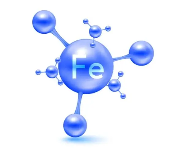 Screenshot-2025-07-28-021458 Óxidos de ferro fortalecem a captura de carbono nos ecossistemas de manguezal