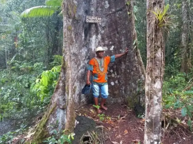 Screenshot-2025-07-28-122602 Comunidades quilombolas com título de terra reduzem desmatamento em até 55% na região amazônica
