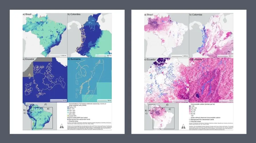 Screenshot-2025-07-28-124223 Comunidades quilombolas com título de terra reduzem desmatamento em até 55% na região amazônica