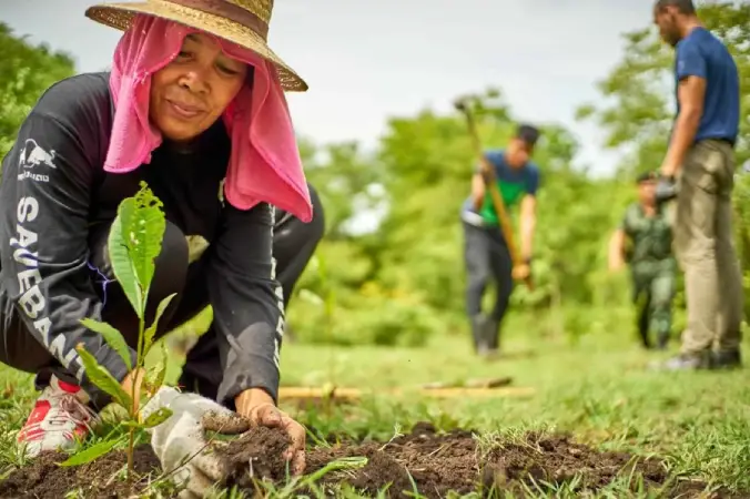 Fundo JBS pela Amazônia impulsiona restauração florestal e melhoria de renda em comunidades rurais fundo
