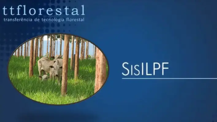 Embrapa lança ferramenta digital para gestão florestal em sistemas integrados de produção tecnologia