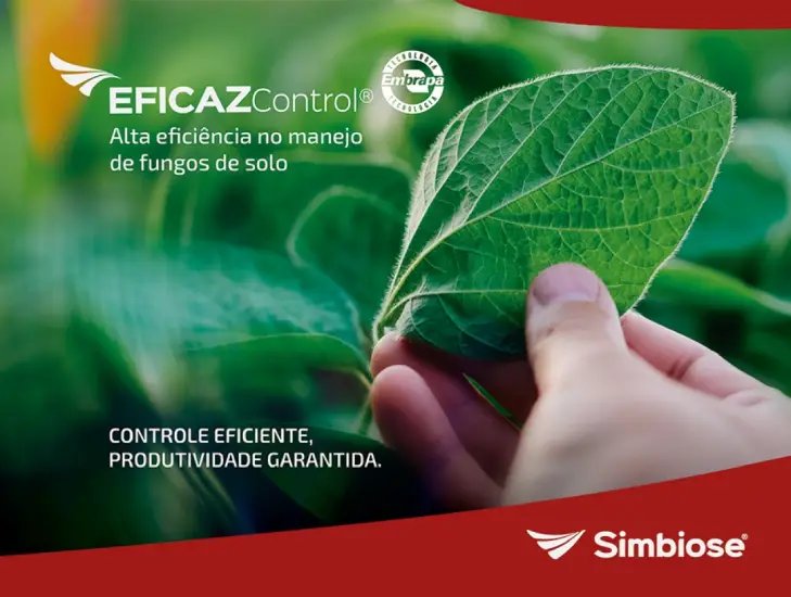 Screenshot 2025 07 30 175252