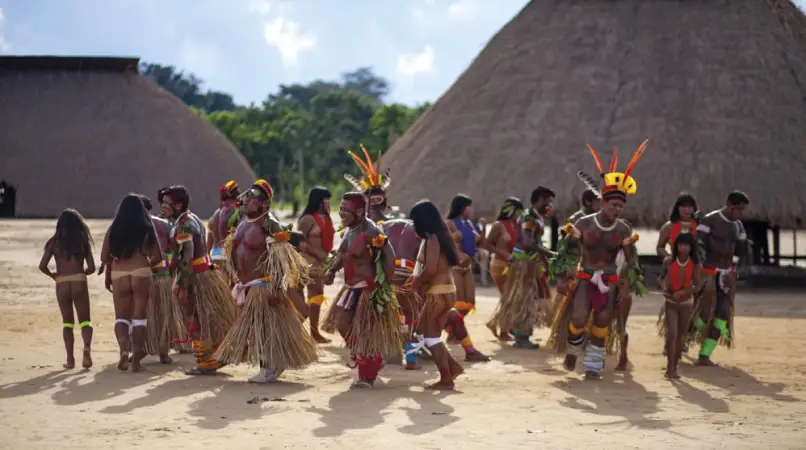 Screenshot-2025-07-31-223711 Técnica agrícola indígena mantém a diversidade genética da mandioca e a segurança alimentar