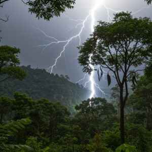 320 milhões de árvores são mortas por raios a cada ano Tempestades tropicais de rápido crescimento, antes ignoradas, agora parecem ser responsáveis por cerca de metade das mortes de árvores em florestas tropicais, rivalizando com a seca e o calor como a principal ameaça às florestas ricas em carbono