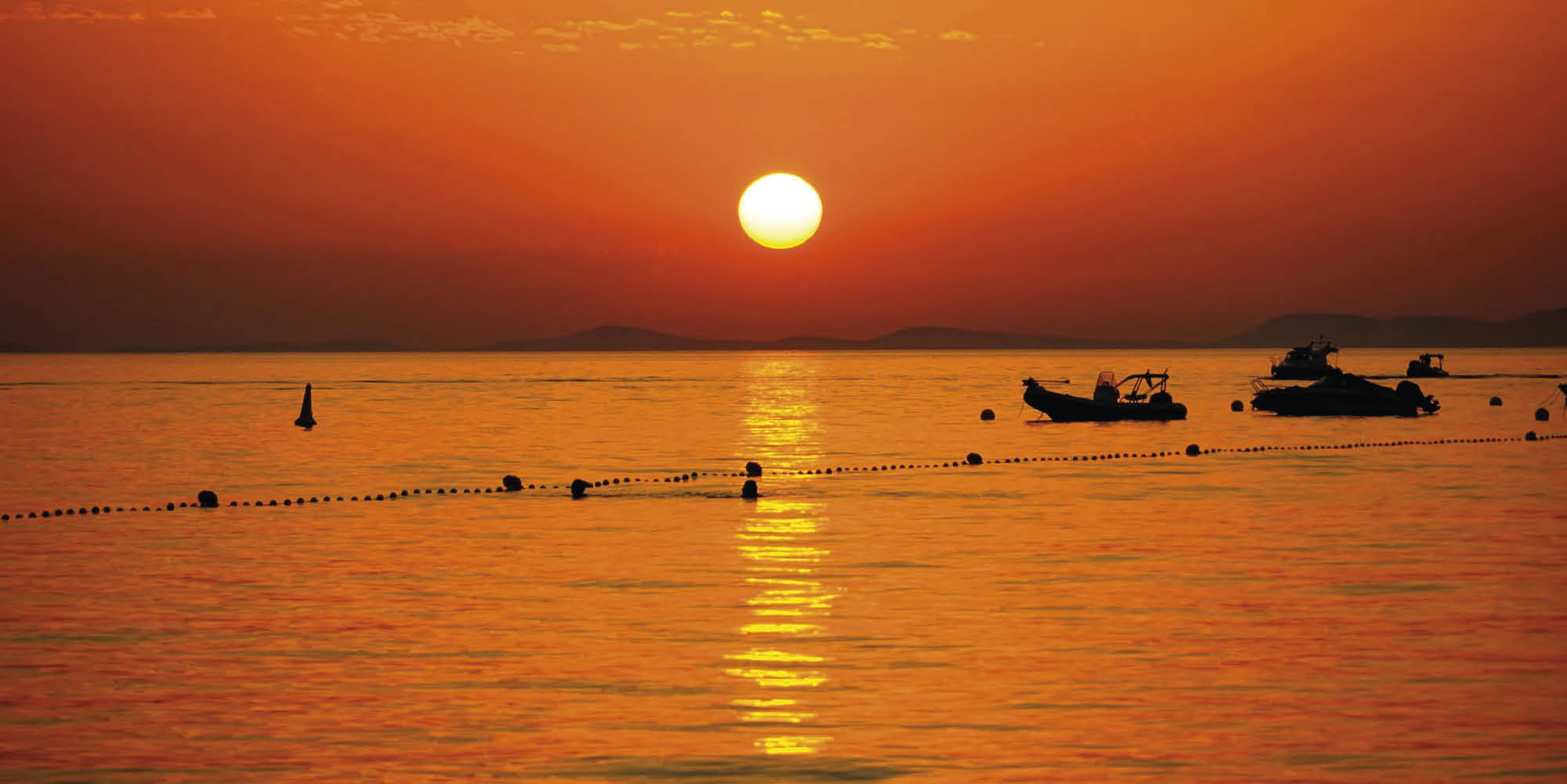Exemplos instrutivos de pescarias da Costa Oeste que sofreram impactos socioecológicos positivos ( n  = 5) ou negativos ( n  = 5) durante a onda de calor marinho de 2014-2016 e para obter insights sobre como melhorar o monitoramento, a gestão e a capacidade adaptativa das comunidades para que sejam mais resilientes a futuras ondas de calor e mudanças climáticas. Créditos das fotos: NOAA (lula-do-mercado-da-califórnia, anchova-do-norte, atum-azul-do-pacífico, sardinha-do-pacífico, bacalhau-do-pacífico), CDFW (salmão-rei, caranguejo-de-Dungeness, camarão-rosa-do-pacífico, ouriço-do-mar-vermelho) e WDFW (peixe-do-rocha-de-barriga-curta).