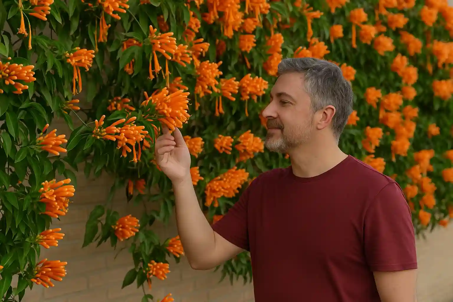 Cultivar trepadeira-de-são-joão: 5 passos práticos Cultivar trepadeira-de-são-joão 5 passos práticos