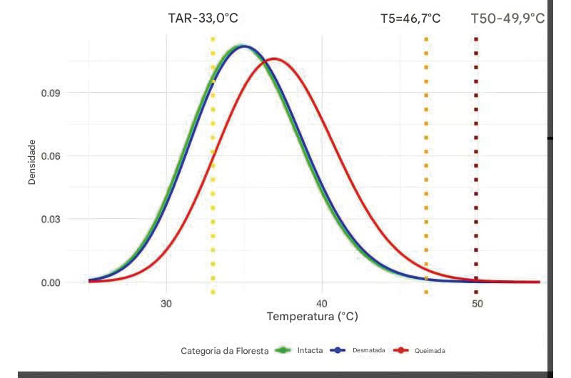 Distribuições modeladas de temperatura foliar no dossel superior com base em observações térmicas do ECOSTRESS de fragmentos florestais (intactos, explorados e queimados) na observação mais quente e sem nuvens em um registro de estação seca de 2 anos (31-08-2018). Os resultados para os fragmentos mais quentes (quartil superior) são apresentados