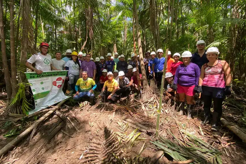 “Açaí o ano inteiro” Emater fortalece extrativistas em Afuá Equipe Emater - Agência Pará