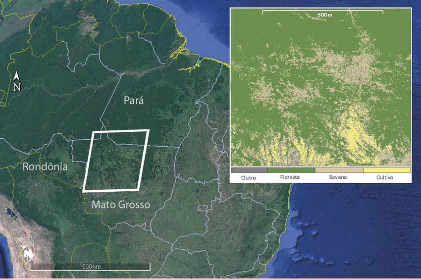 Estresse térmico em florestas degradadas no Arco do Desmatamento da Amazônia Brasileira
