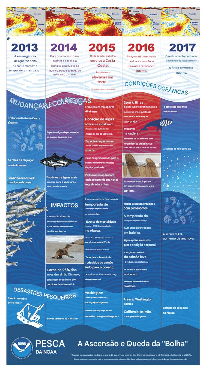 A onda de calor que destruiu ecossistemas 2 Exemplos de impactos durante a onda de calor marinho de 2014–2016