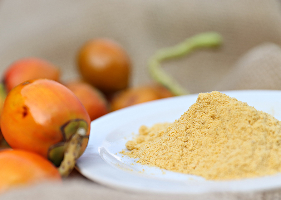 Divulgação - EMBRAPA